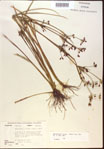 000024214-thumbnail.jpg