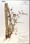 000024215-thumbnail.jpg