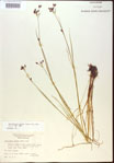 000024216-thumbnail.jpg