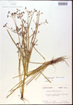 000024217-thumbnail.jpg