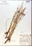 000024218-thumbnail.jpg