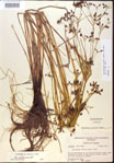 000024219-thumbnail.jpg