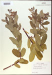 000024221-thumbnail.jpg