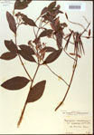 000024226-thumbnail.jpg