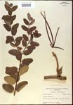 000024227-thumbnail.jpg