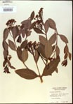 000024228-thumbnail.jpg