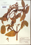 000024230-thumbnail.jpg