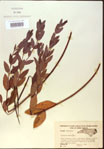000024232-thumbnail.jpg