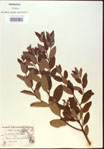 000024233-thumbnail.jpg