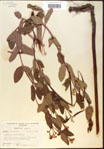 000024235-thumbnail.jpg