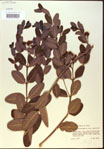 000024236-thumbnail.jpg