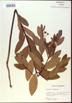 000024237-thumbnail.jpg