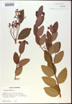 000024238-thumbnail.jpg