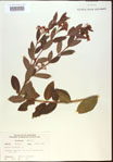 000024248-thumbnail.jpg