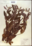 000024255-thumbnail.jpg