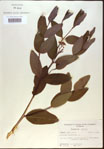 000024256-thumbnail.jpg