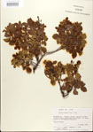 000024299-thumbnail.jpg