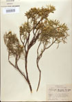 000024300-thumbnail.jpg