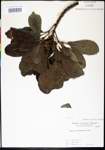 000024302-thumbnail.jpg