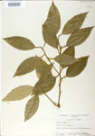 000024343-thumbnail.jpg