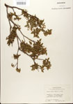 000024354-thumbnail.jpg