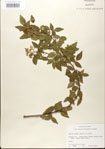 000024355-thumbnail.jpg