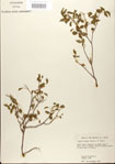 000024356-thumbnail.jpg
