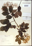 000024372-thumbnail.jpg