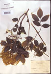 000024373-thumbnail.jpg