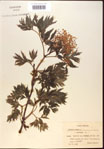 000024374-thumbnail.jpg