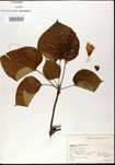 000024376-thumbnail.jpg