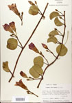 000024438-thumbnail.jpg