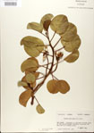 000024439-thumbnail.jpg