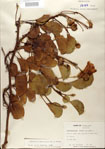 000024444-thumbnail.jpg