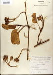 000024448-thumbnail.jpg