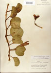000024449-thumbnail.jpg