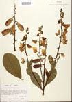 000024492-thumbnail.jpg