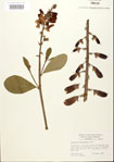 000024493-thumbnail.jpg