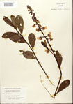 000024495-thumbnail.jpg