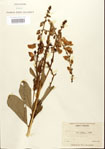 000024496-thumbnail.jpg