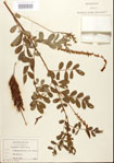 000024500-thumbnail.jpg