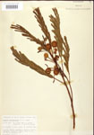 000024501-thumbnail.jpg