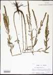 000024533-thumbnail.jpg