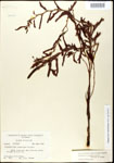 000025087-thumbnail.jpg