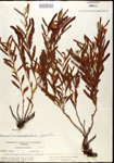 000025102-thumbnail.jpg