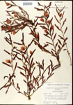 000025105-thumbnail.jpg