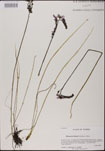 000025167-thumbnail.jpg