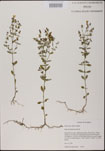 000025170-thumbnail.jpg