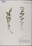 000025171-thumbnail.jpg