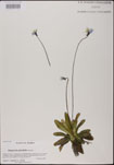 000025176-thumbnail.jpg